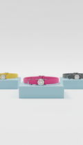 Vivid Pink Personalized Cat Collar